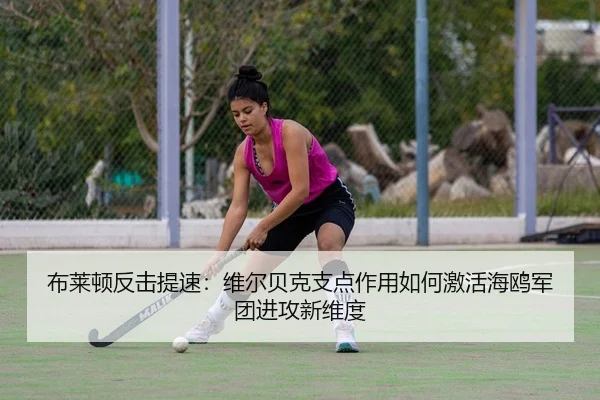 布莱顿反击提速：维尔贝克支点作用如何激活海鸥军团进攻新维度